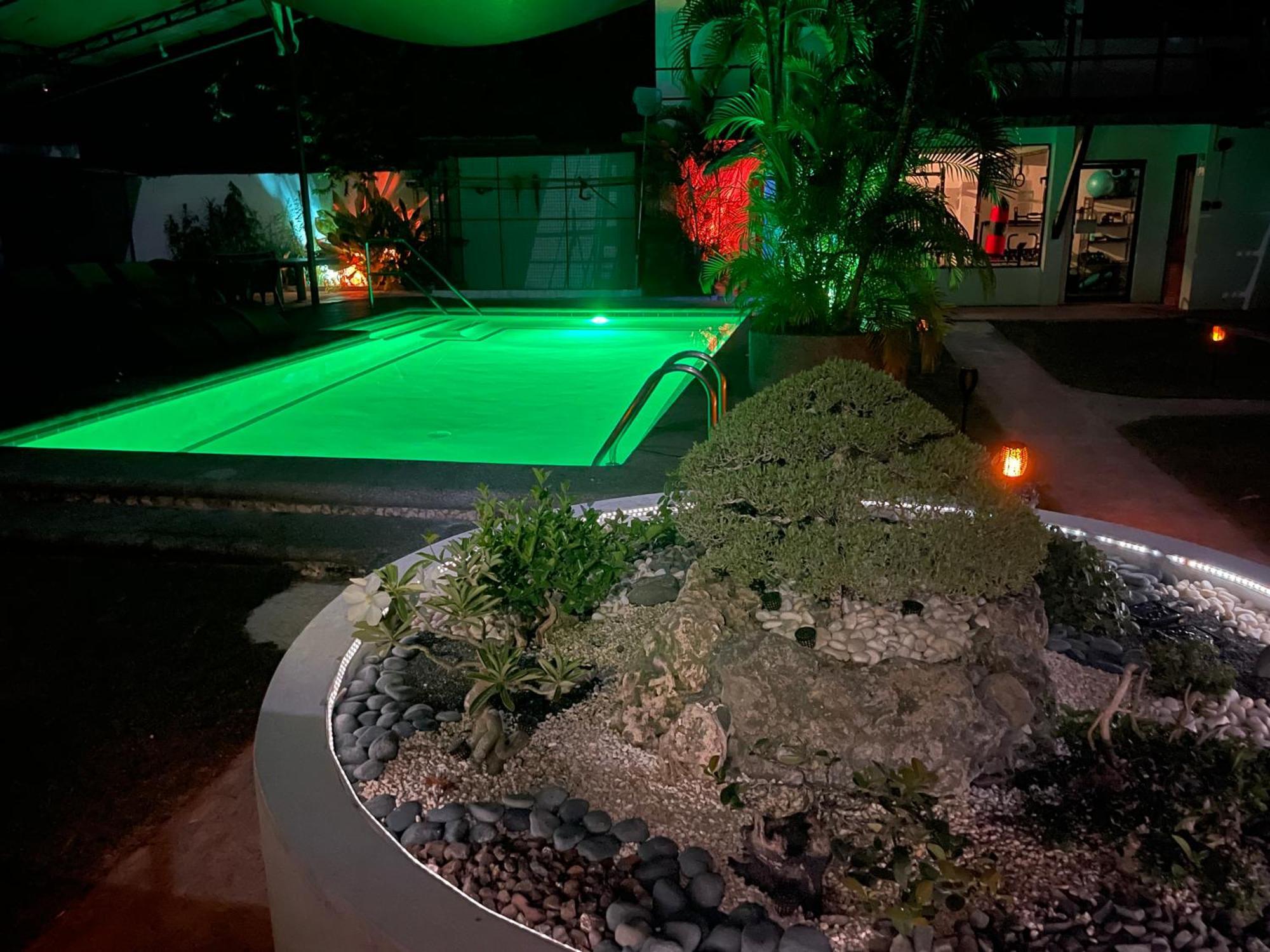 Parrot Resort Moalboal Luaran gambar